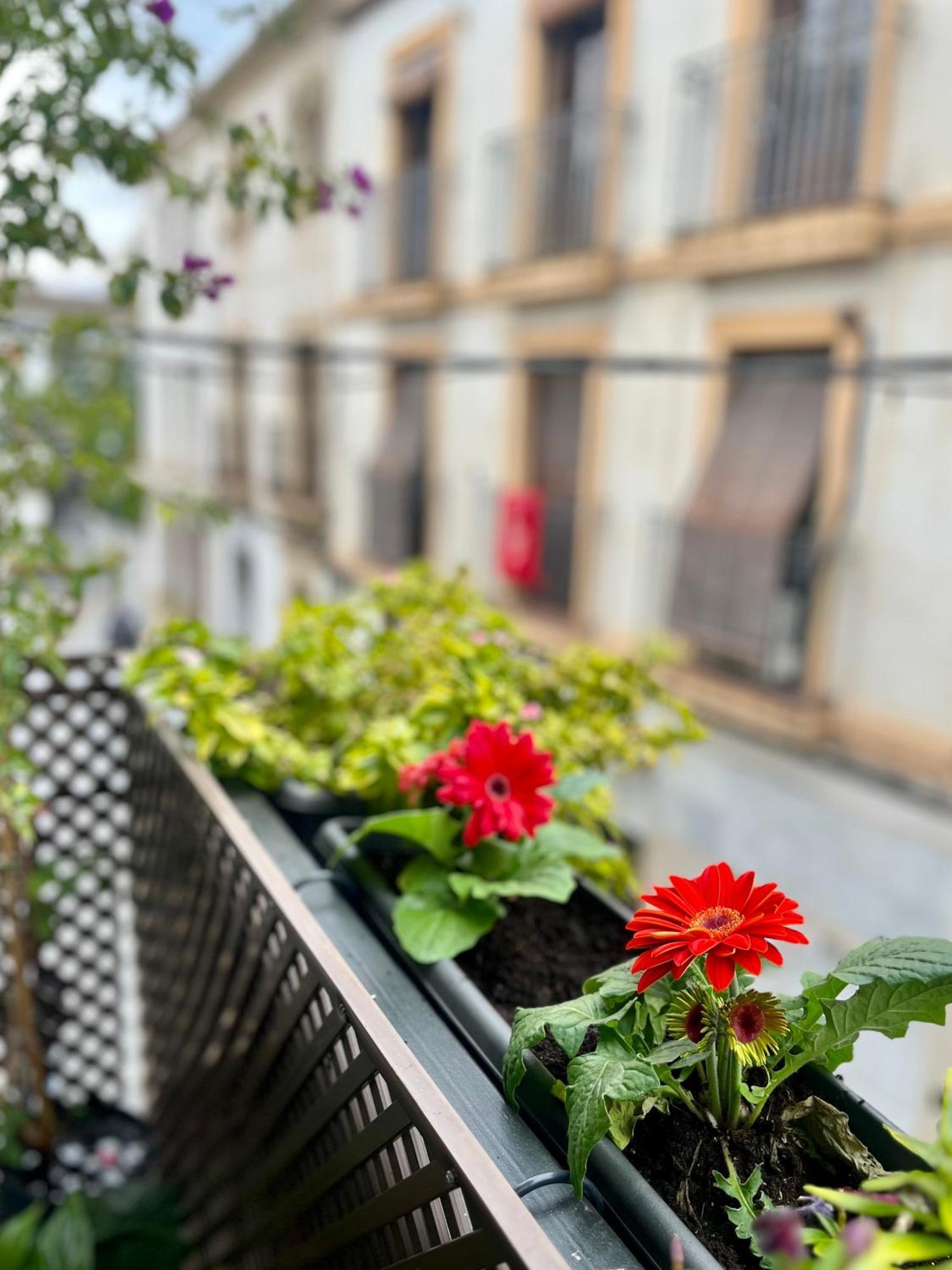 Apartmán La Casa De Char Córdoba Exteriér fotografie
